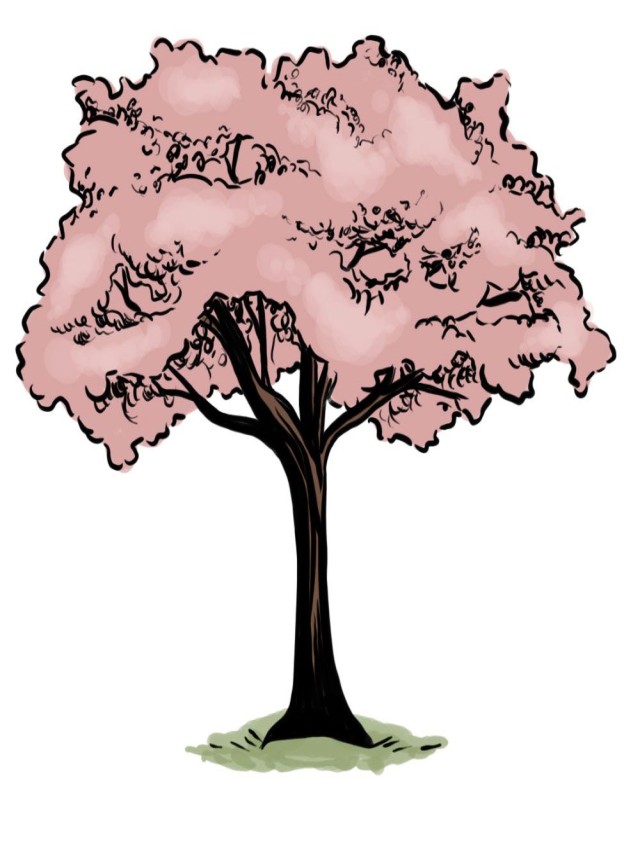 Álbumes 94+ Imagen how to draw a realistic cherry blossom tree Lleno