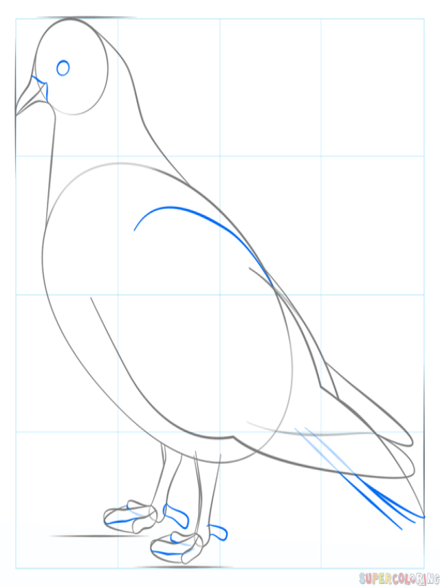 Lista 100+ Imagen how to draw pigeon step by step Lleno