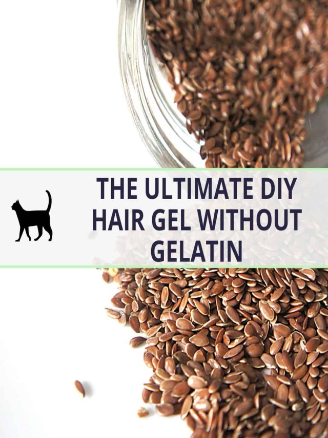 Em geral 97+ Imagen how to make hair gel without gelatin or flaxseed Lleno