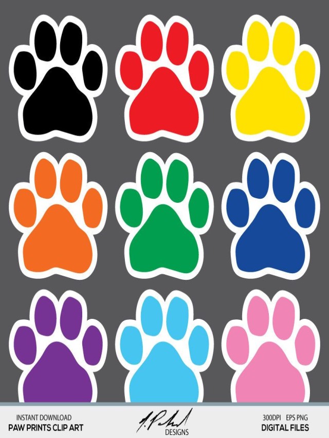 Sintético 90+ Foto huellas de paw patrol de colores Actualizar