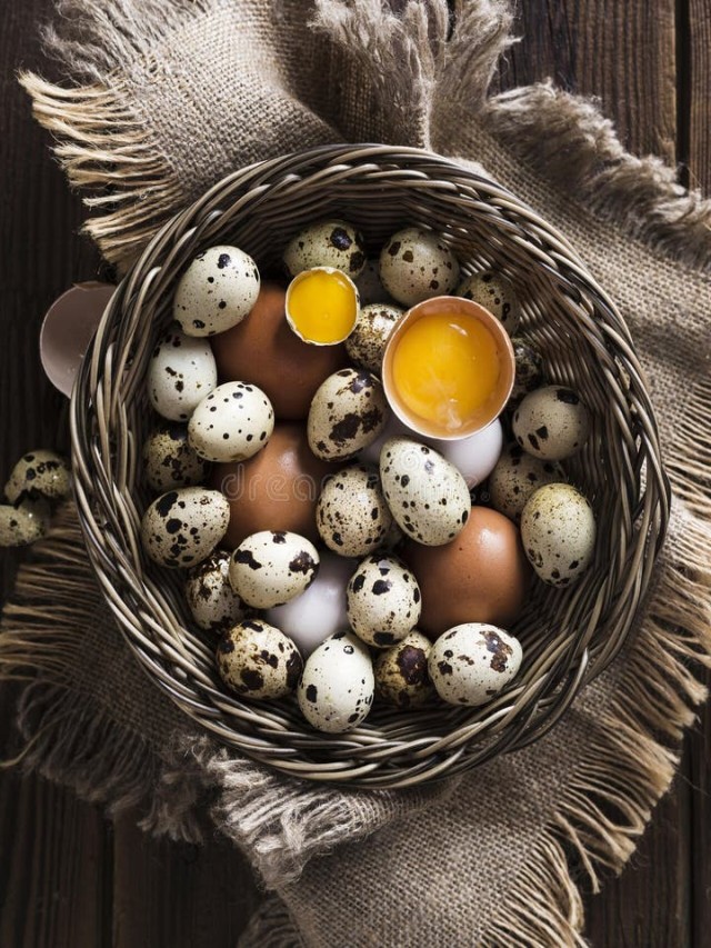 Lista 96+ Foto huevo de codorniz vs huevo de gallina Cena hermosa