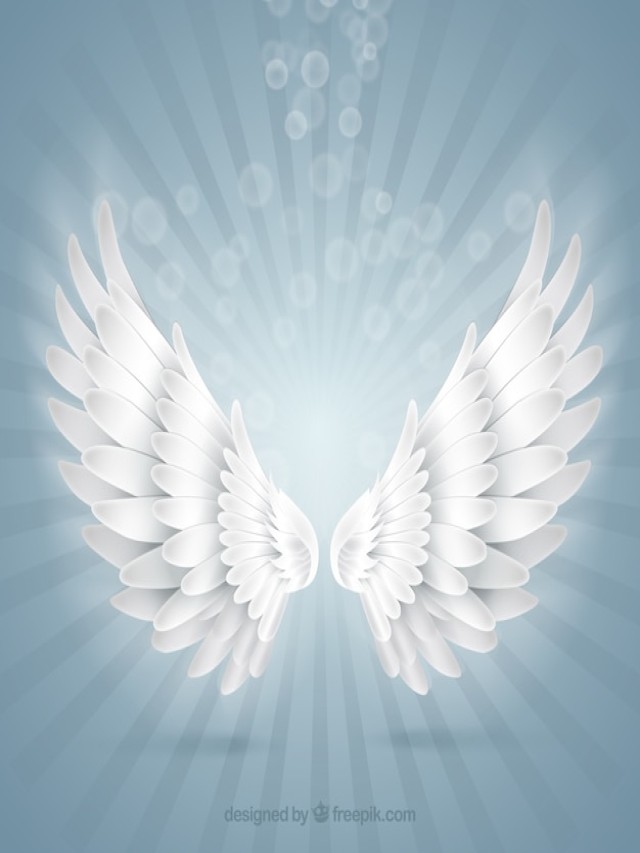 Lista 105+ Imagen imagen de unas alas de angel Mirada tensa