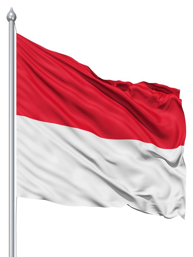 Sintético 104+ Foto imagen de la bandera de indonesia Cena hermosa