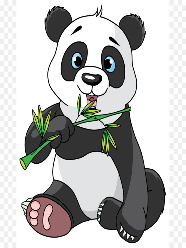 Arriba 102+ Foto imagen de un oso panda animado Alta definición completa, 2k, 4k
