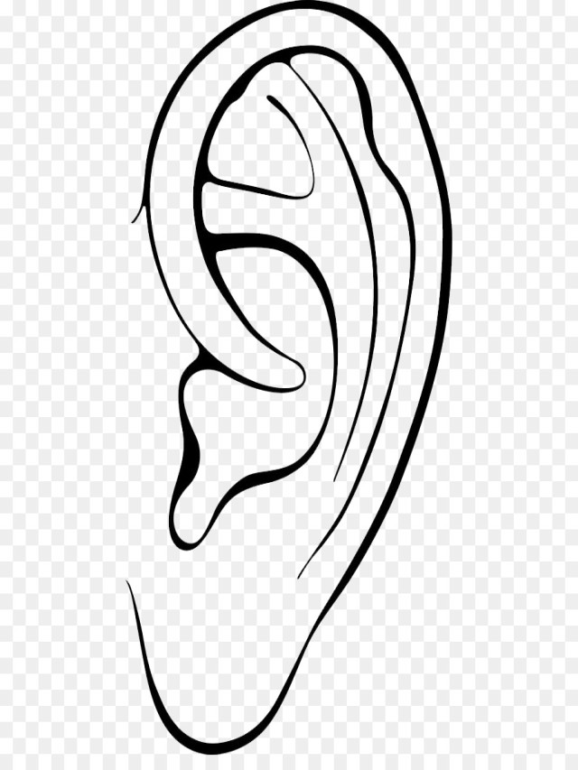 Sintético 97+ Foto imagen de una oreja para colorear Mirada tensa