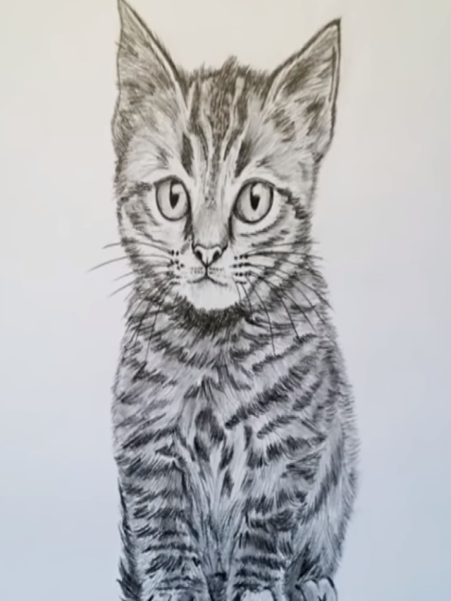 Em geral 102+ Imagen imágenes de gatos para dibujar a lápiz faciles El último