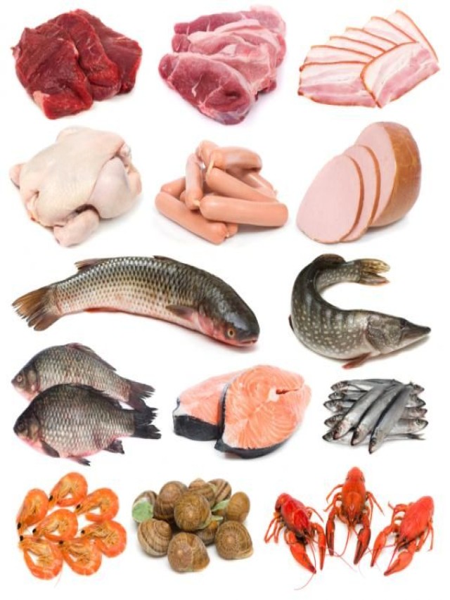 Sintético 103+ Foto imágenes de alimentos de origen animal Cena hermosa