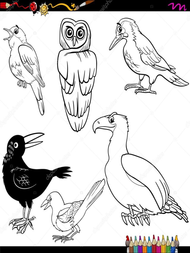 Álbumes 99+ Foto imagenes de animales aves para colorear Lleno