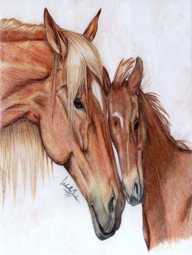 Lista 93+ Foto imágenes de caballos para dibujar a color El último