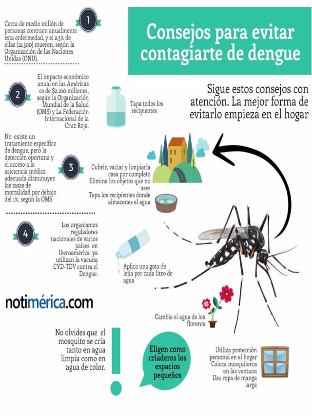 Arriba 92+ Foto imágenes de como prevenir el dengue Lleno
