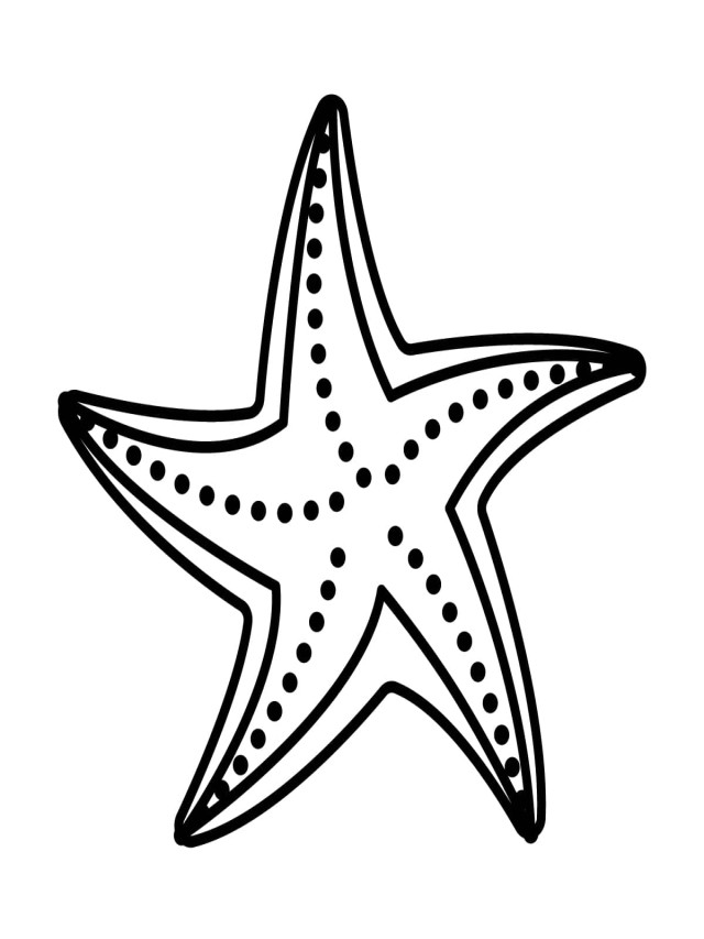 Sintético 99+ Foto imágenes de estrellas de mar para dibujar Lleno