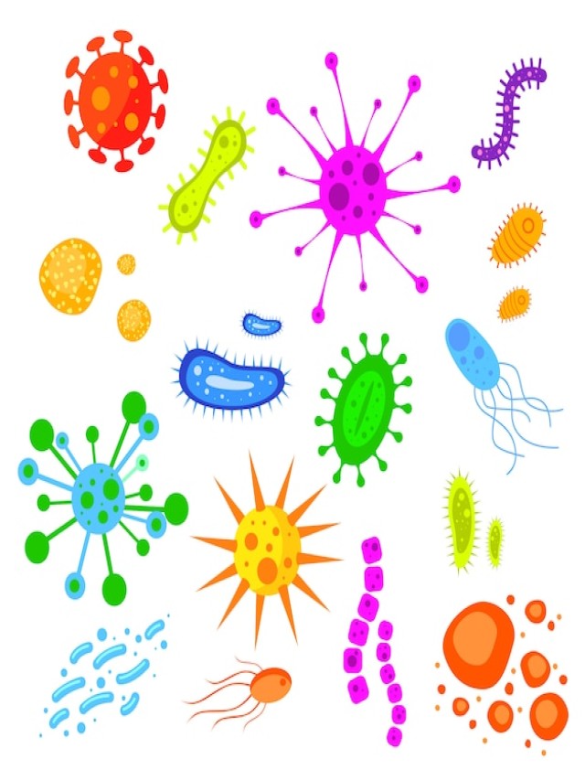Lista 103+ Foto imágenes de hongos y bacterias para imprimir Mirada tensa