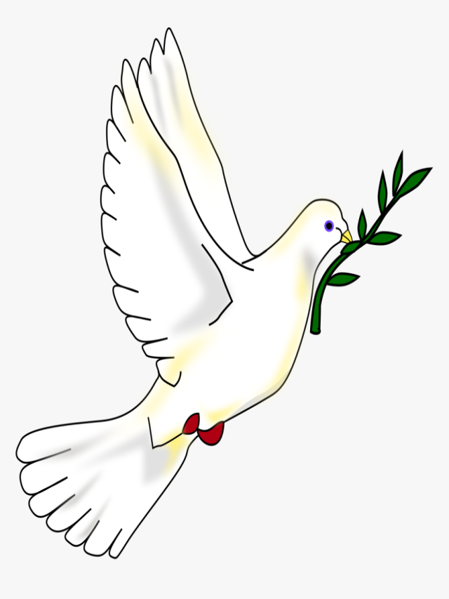 Lista 90+ Foto imagenes de la paloma de la paz a color Lleno
