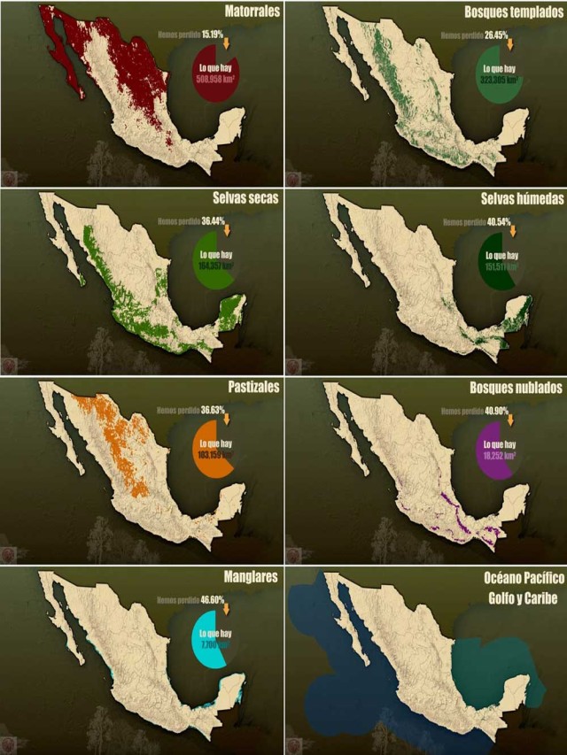 Lista 95+ Foto imagenes de los ecosistemas de mexico Alta definición completa, 2k, 4k