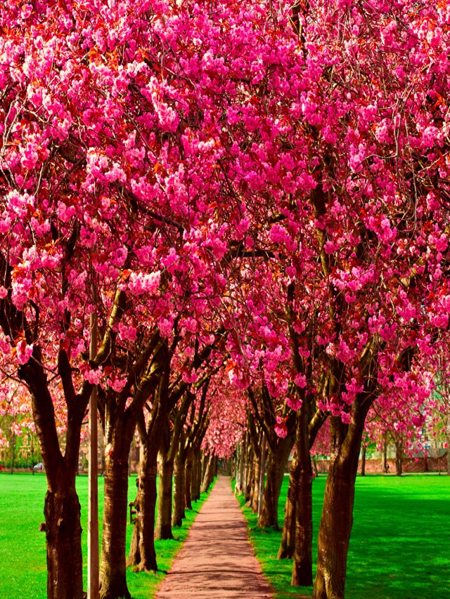 Lista 97+ Foto imagenes de paisajes de primavera para fondo de pantalla Cena hermosa