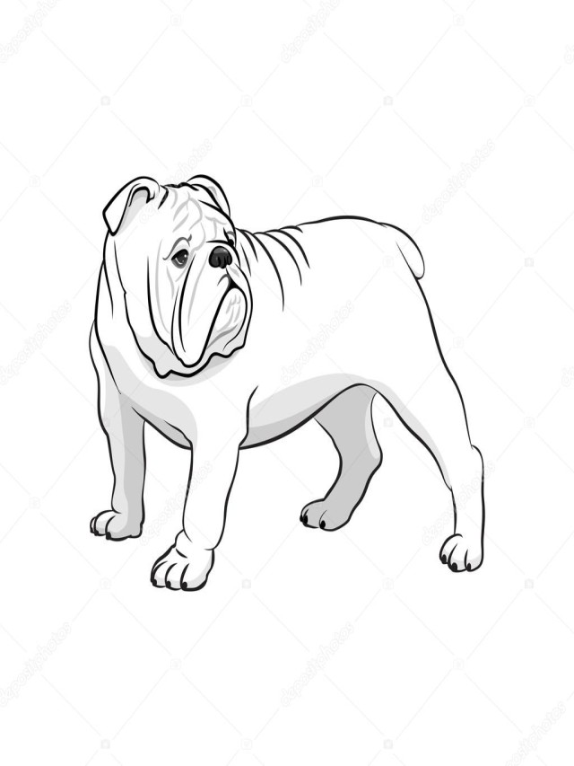 Sintético 98+ Foto imagenes de perros bulldog para colorear Actualizar