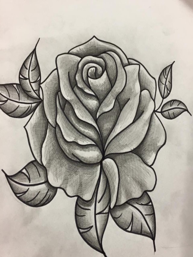 Lista 99+ Foto imágenes de rosas para dibujar a lápiz Actualizar