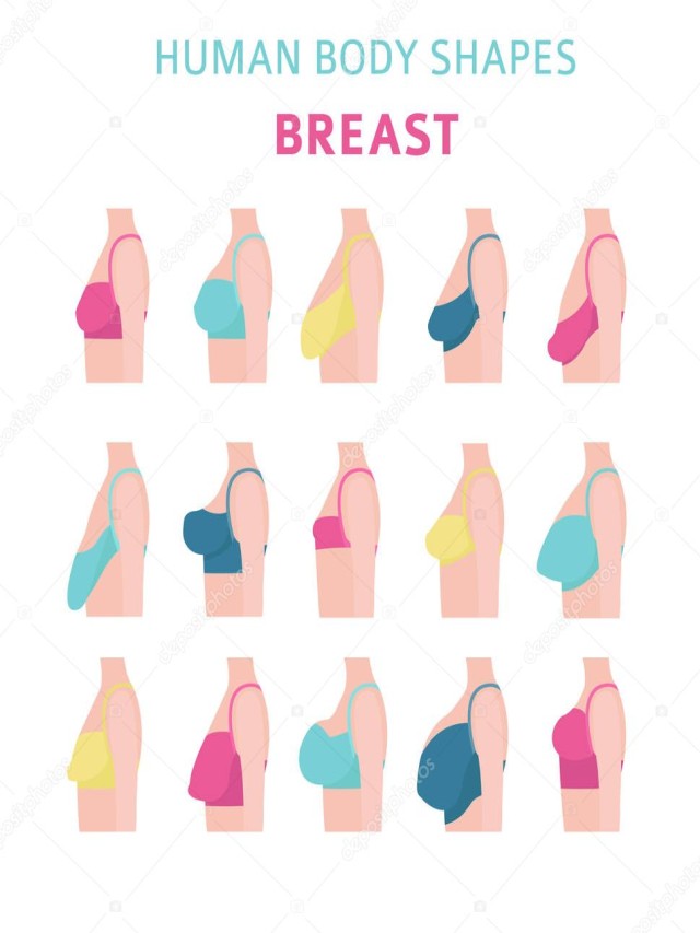 Lista 103+ Foto imagenes de senos de diferentes tamaños Mirada tensa