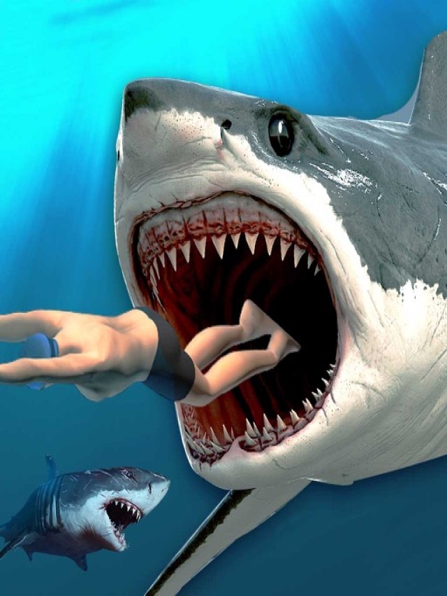 Lista 100+ Foto imagenes de tiburones asesinos atacando a personas Cena hermosa
