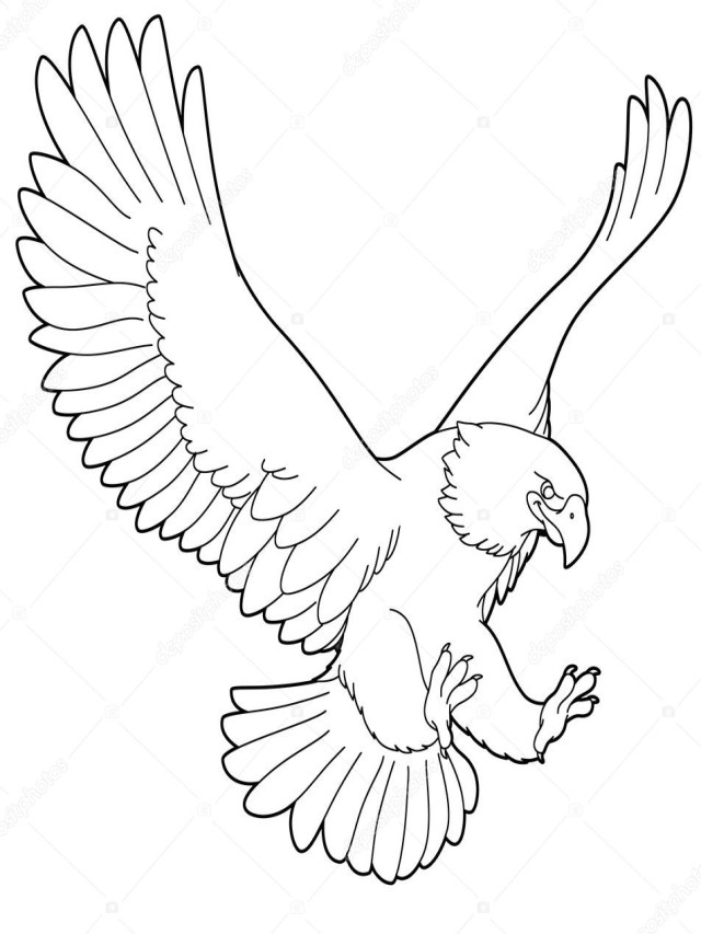 Arriba 95+ Foto imágenes de un águila para dibujar Alta definición completa, 2k, 4k
