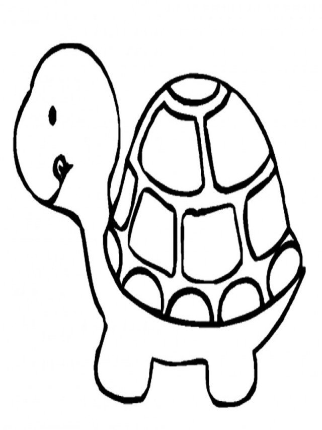 Sintético 103+ Foto imágenes de una tortuga para dibujar El último
