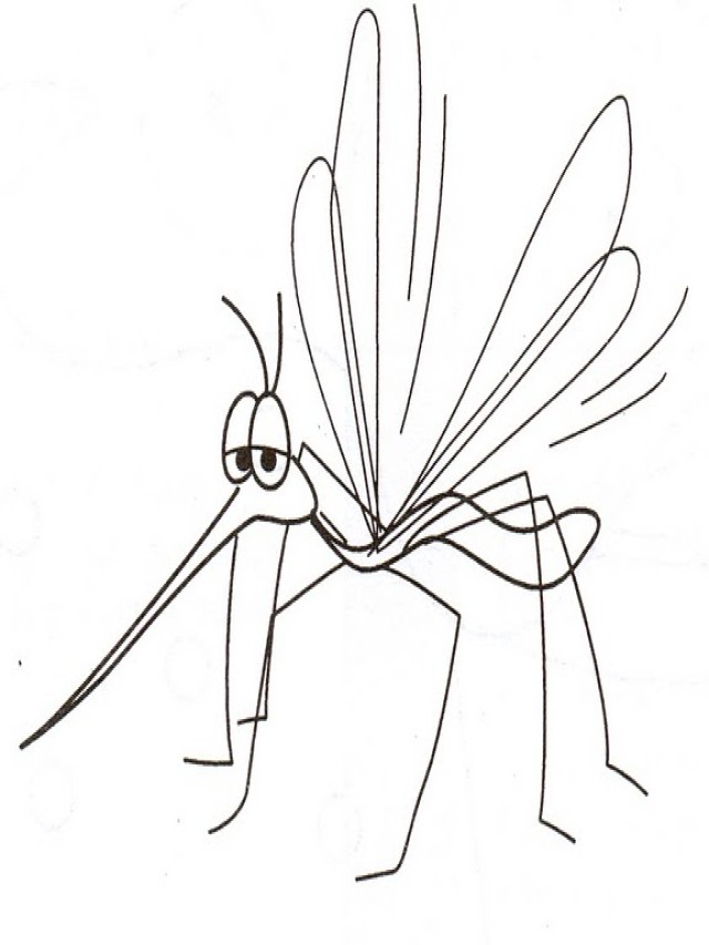Álbumes 91+ Foto imagenes del mosquito del dengue para colorear Alta definición completa, 2k, 4k