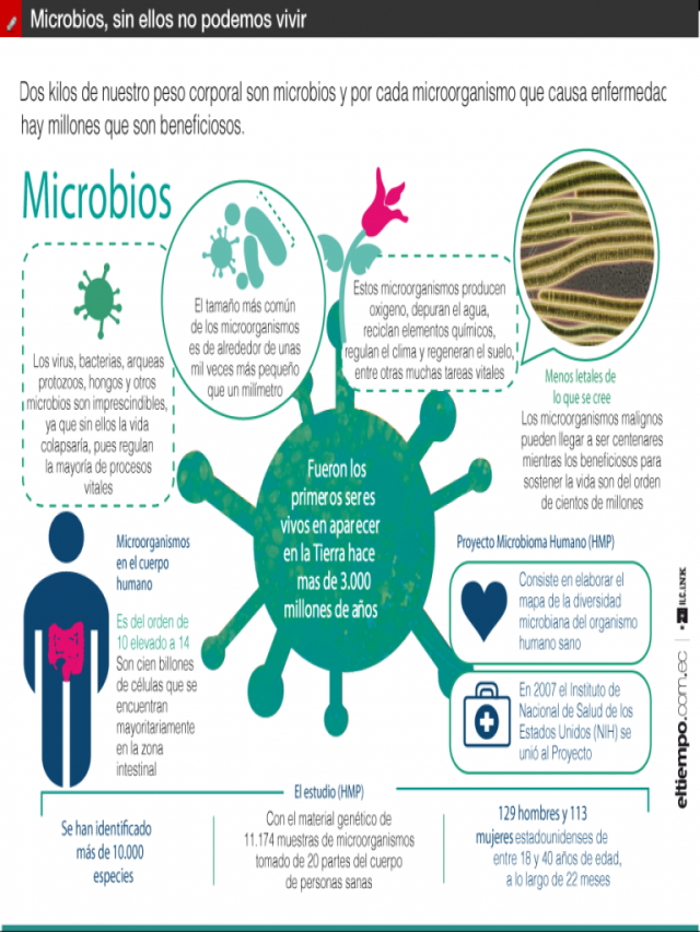 Sintético 97+ Foto infografia de los microbios y la ecologia Actualizar