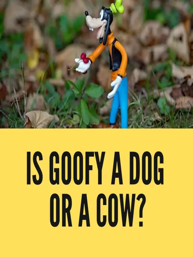 Lista 91+ Foto is goofy a dog or a cow Lleno