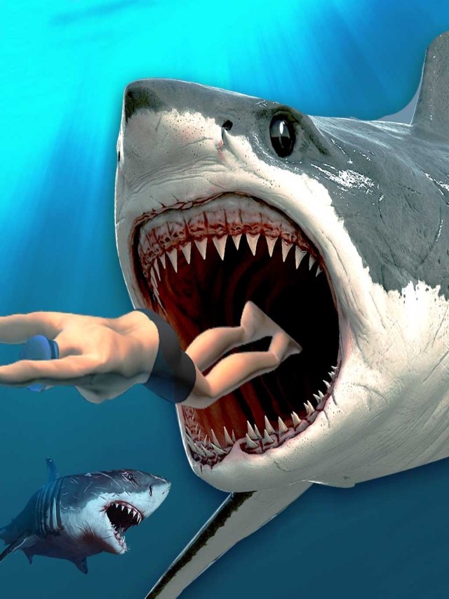 Arriba 103+ Imagen juegos de tiburones para niños gratis Actualizar