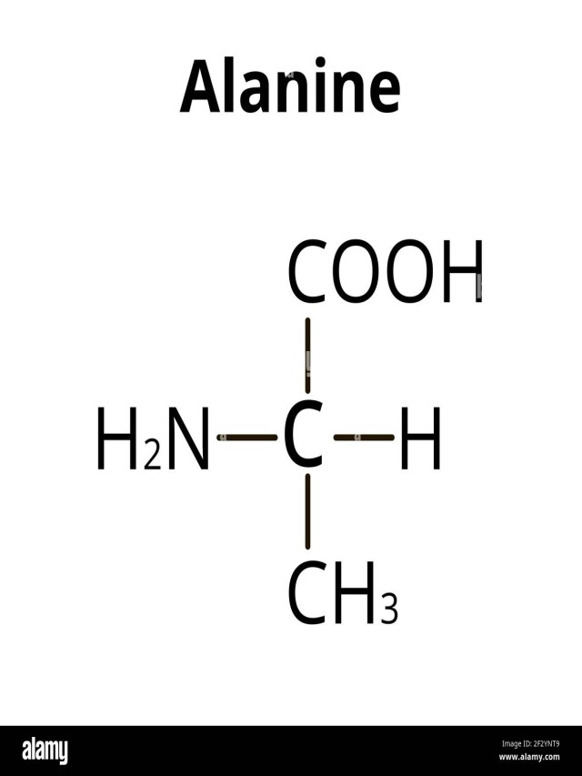 Lista 103+ Foto la alanina es el aminoácido más sencillo El último