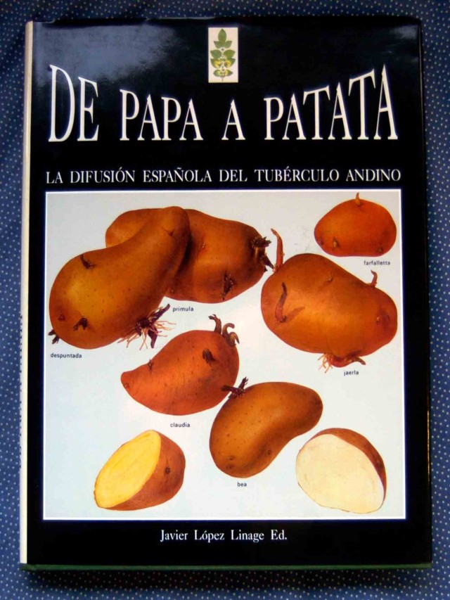 Lista 92+ Foto la patata en españa historia y agroecología del tubérculo andino Mirada tensa