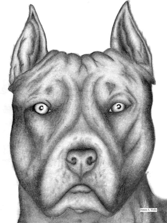 Lista 92+ Foto lapiz facil dibujos de perros pitbull Cena hermosa