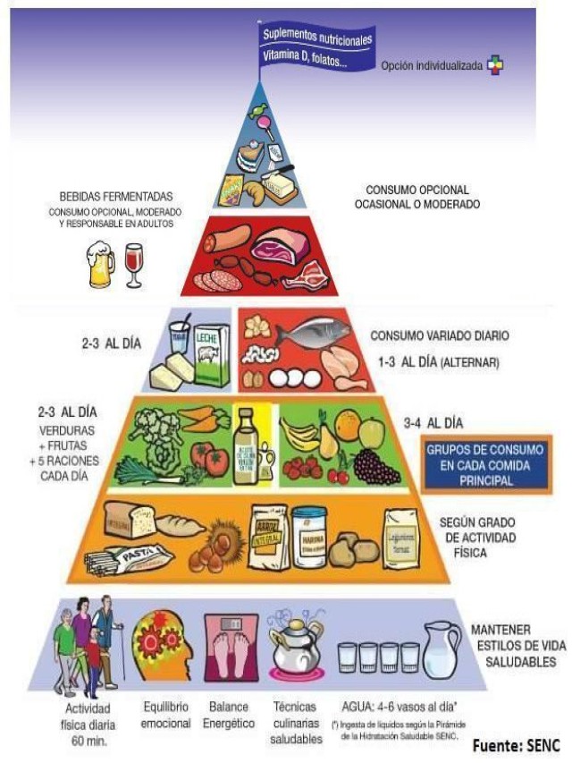 Lista 93+ Foto las pirámides de nutrición y entrenamiento Alta definición completa, 2k, 4k
