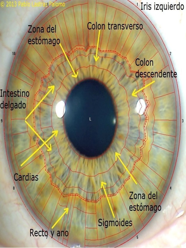 Sintético 93+ Foto lectura del iris del ojo gratis Actualizar