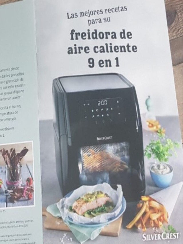 Arriba 90+ Foto libro de recetas freidora sin aceite lidl pdf gratis Mirada tensa