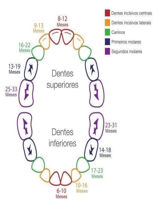 Sintético 95+ Foto linea del tiempo de la odontologia Alta definición completa, 2k, 4k