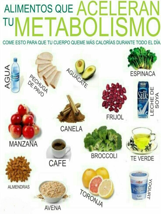 Lista 98+ Foto los 7 alimentos que aceleran el metabolismo y ayudan a adelgazar Lleno