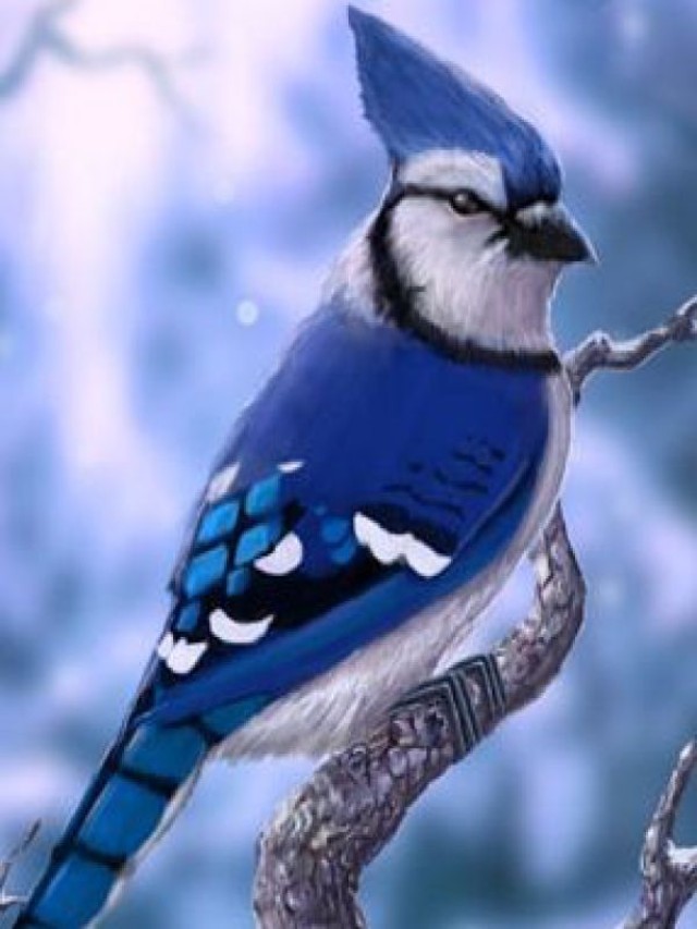 Álbumes 104+ Foto los pájaros más hermosos del mundo Alta definición completa, 2k, 4k