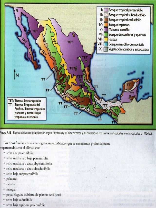 Sintético 101+ Foto mapa conceptual de los ecosistemas de mexico El último