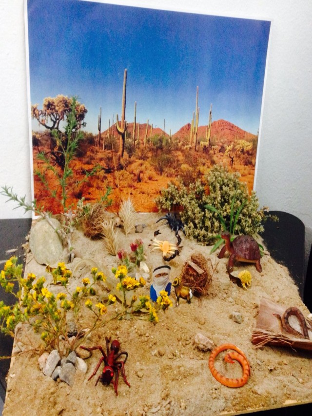 Arriba 93+ Foto maquetas del desierto con animales y plantas Cena hermosa