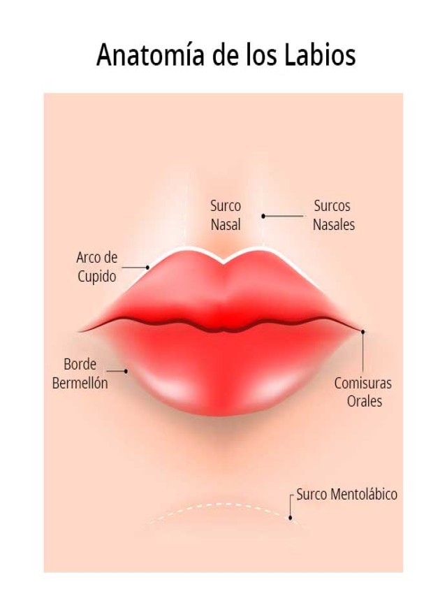 Arriba 93+ Foto mujer imágenes de labios genitales sanos Cena hermosa