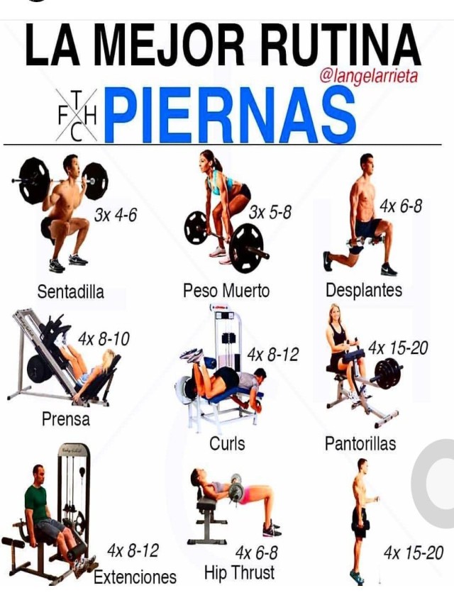 Lista 102+ Foto nombres de todos los ejercicios del gym Actualizar