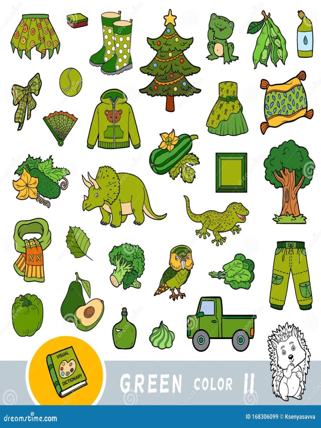 Arriba 102+ Imagen objetos de color verde para niños Cena hermosa