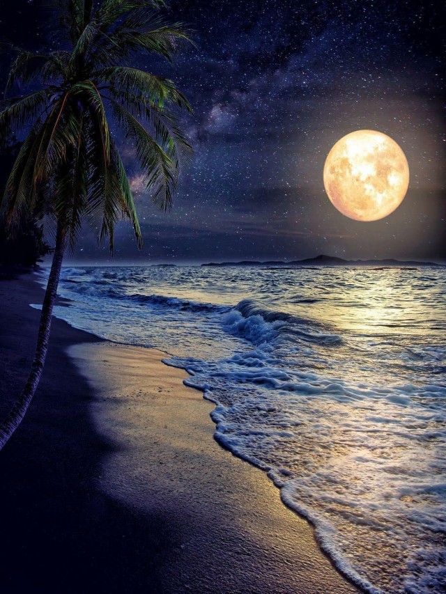 Álbumes 91+ Foto paisajes hermosos de noche en el mar Actualizar
