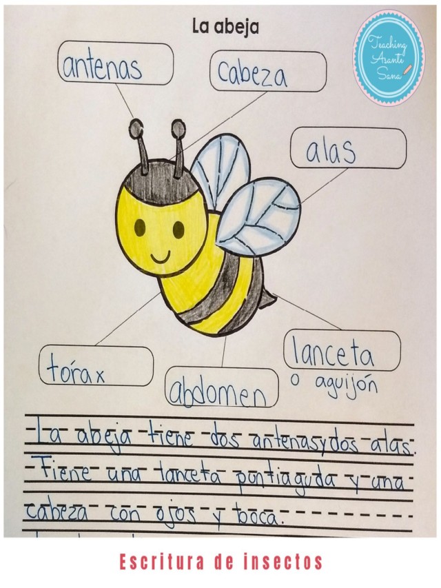 Lista 94+ Foto partes de la abeja para niños Lleno