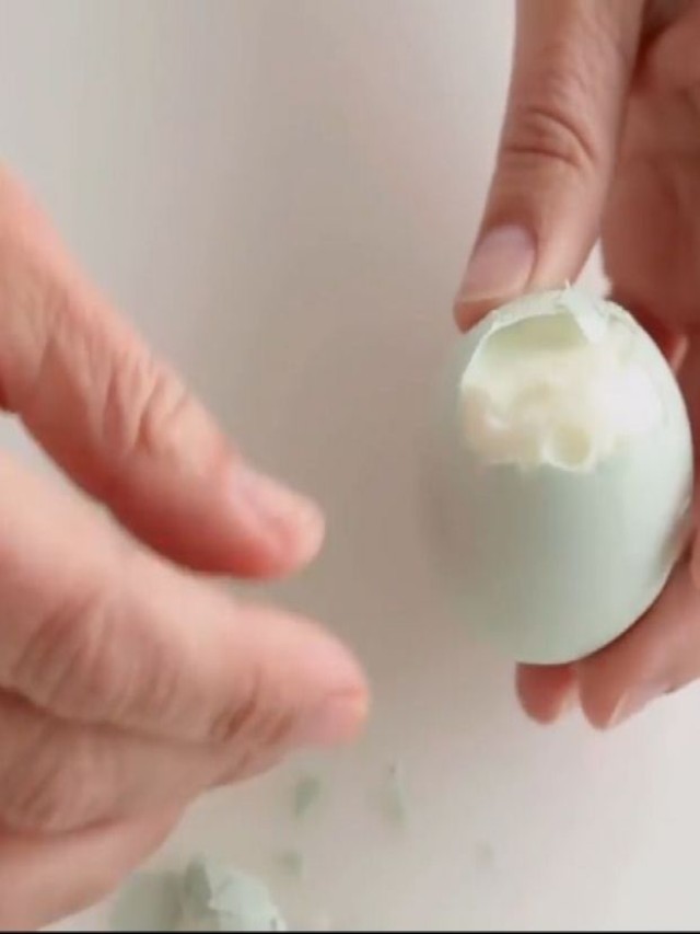 Sintético 95+ Foto pelar huevo duro sin que se pegue la cascara Mirada tensa