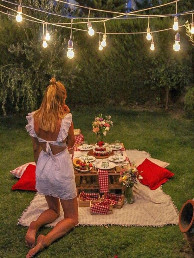 Álbumes 104+ Foto picnic romántico en casa de noche Cena hermosa