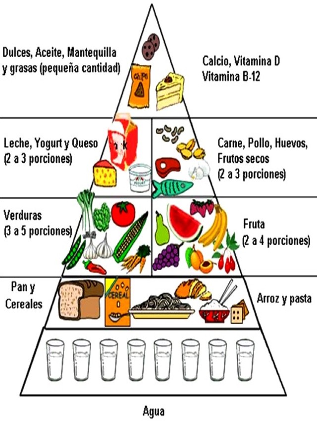 Álbumes 97+ Imagen pirámide alimenticia para dibujar con sus partes Mirada tensa