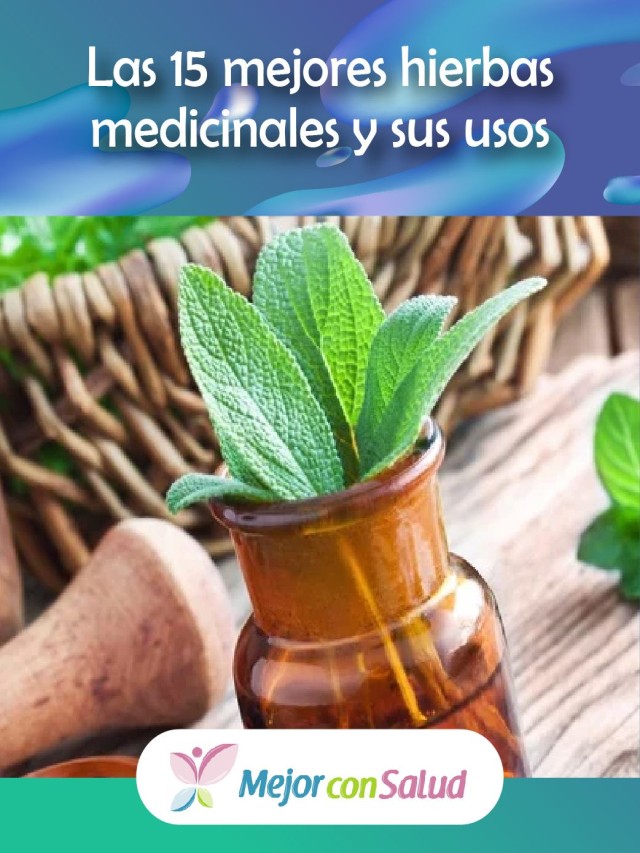 Álbumes 100+ Foto plantas medicinales para alergias en la piel Cena hermosa