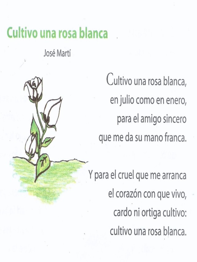 Sintético 101+ Foto poemas de jose marti cultivo una rosa blanca El último